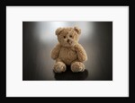 Studio shot of teddy bear by Anonymous