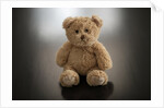 Studio shot of teddy bear by Anonymous