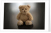 Studio shot of teddy bear by Anonymous