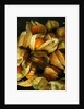 Cape Gooseberry by Anonymous