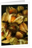 Cape Gooseberry by Anonymous