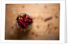 Dried red chillies in a mason jar by Anonymous
