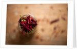 Dried red chillies in a mason jar by Anonymous