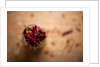 Dried red chillies in a mason jar by Anonymous