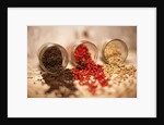 Black, red, and white pepper corns in rustic mason jars by Anonymous