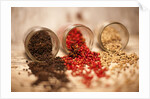 Black, red, and white pepper corns in rustic mason jars by Anonymous