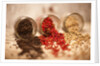 Black, red, and white pepper corns in rustic mason jars by Anonymous