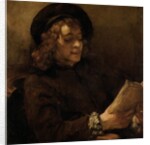Titus van Rijn, the Artist's Son, Reading by Rembrandt van Rijn