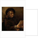 Titus van Rijn, the Artist's Son, Reading by Rembrandt van Rijn