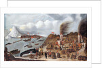 Danish Whaling Station by Abraham Speeck
