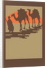 Woodcut of camels and nomad by Anonymous
