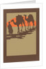 Woodcut of camels and nomad by Anonymous