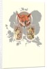Fox, Lynx, Cougar and Squirrel Graphic by Anonymous