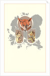 Fox, Lynx, Cougar and Squirrel Graphic by Anonymous