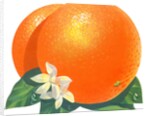 Orange blossoms and fruit by Anonymous