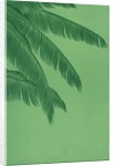 Palm fronds by Anonymous
