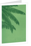 Palm fronds by Anonymous