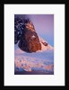 Mountain peak and glacier in Lemaire Channel, Antarctica by Anonymous