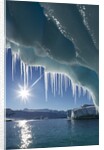 Iceberg in Lemaire Channel, Antarctica by Anonymous