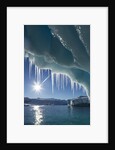 Iceberg in Lemaire Channel, Antarctica by Anonymous