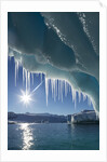 Iceberg in Lemaire Channel, Antarctica by Anonymous