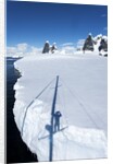 Yacht's shadow and iceberg, Antarctica by Anonymous