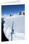 Yacht's shadow and iceberg, Antarctica by Anonymous