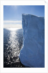 Tabular iceberg, Antarctica by Anonymous