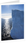 Tabular iceberg, Antarctica by Anonymous