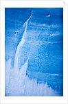 Glacier ice in Antarctic Peninsula by Anonymous