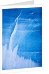 Glacier ice in Antarctic Peninsula by Anonymous