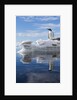 Gentoo penguin on Cuverville Island, Antarctica by Anonymous