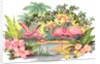 Flamingos in the Tropics by Anonymous