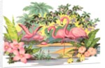 Flamingos in the Tropics by Anonymous