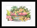 Flamingos in the Tropics by Anonymous