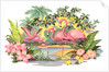 Flamingos in the Tropics by Anonymous