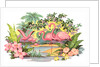 Flamingos in the Tropics by Anonymous