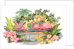 Flamingos in the Tropics by Anonymous