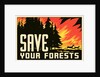 Save Your Forests Poster by Anonymous
