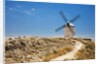 Antique La Mancha windmills in Consuegra, Spain by Anonymous