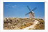 Antique La Mancha windmills in Consuegra, Spain by Anonymous