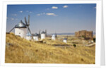 Antique La Mancha windmills and castle in Consuegra, Spain by Anonymous