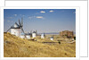 Antique La Mancha windmills and castle in Consuegra, Spain by Anonymous