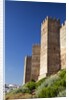Burgalimar Castle in Andalusia, Spain by Anonymous