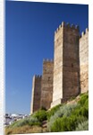 Burgalimar Castle in Andalusia, Spain by Anonymous