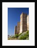 Burgalimar Castle in Andalusia, Spain by Anonymous