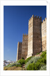 Burgalimar Castle in Andalusia, Spain by Anonymous
