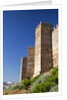 Burgalimar Castle in Andalusia, Spain by Anonymous