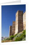 Burgalimar Castle in Andalusia, Spain by Anonymous
