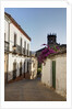 Streets of Banos de la Encina, Andalusia, Spain by Anonymous